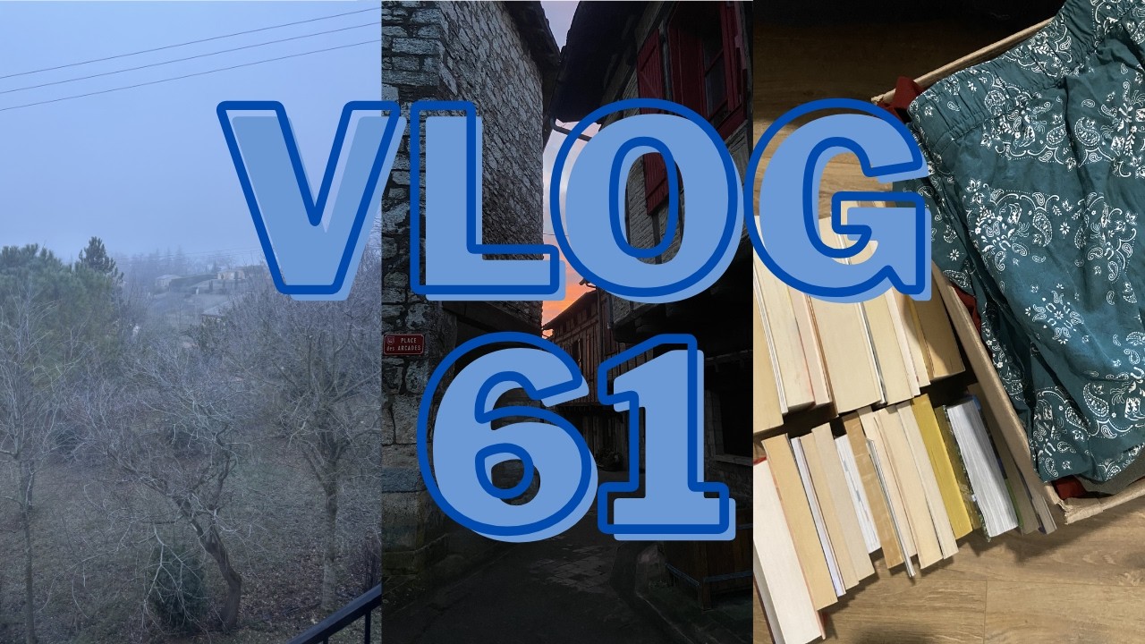 Vlog 61 - Repos forcé et début d'année