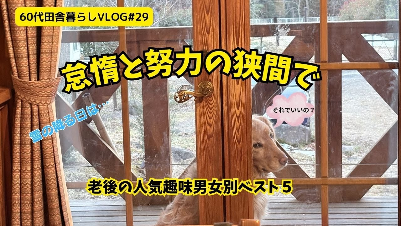老後生活ではまる怠惰と努力の狭間。天気の悪い日はどうしてる？