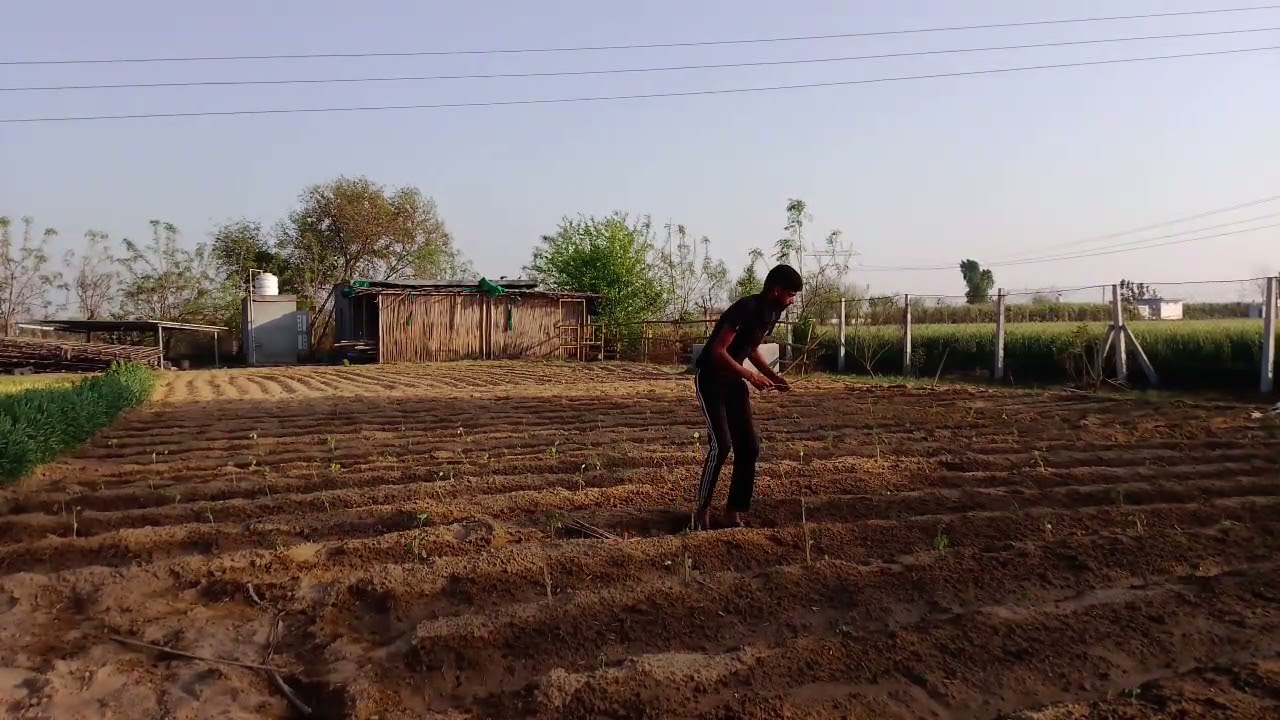 orgo kart new farm
