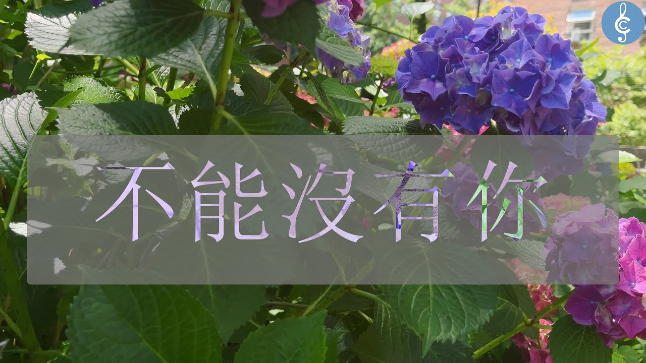 不能没有你