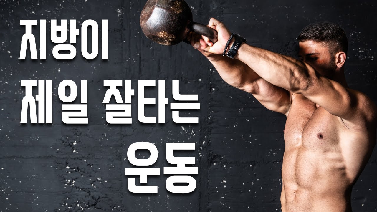 지방이 제일 잘타는 운동
