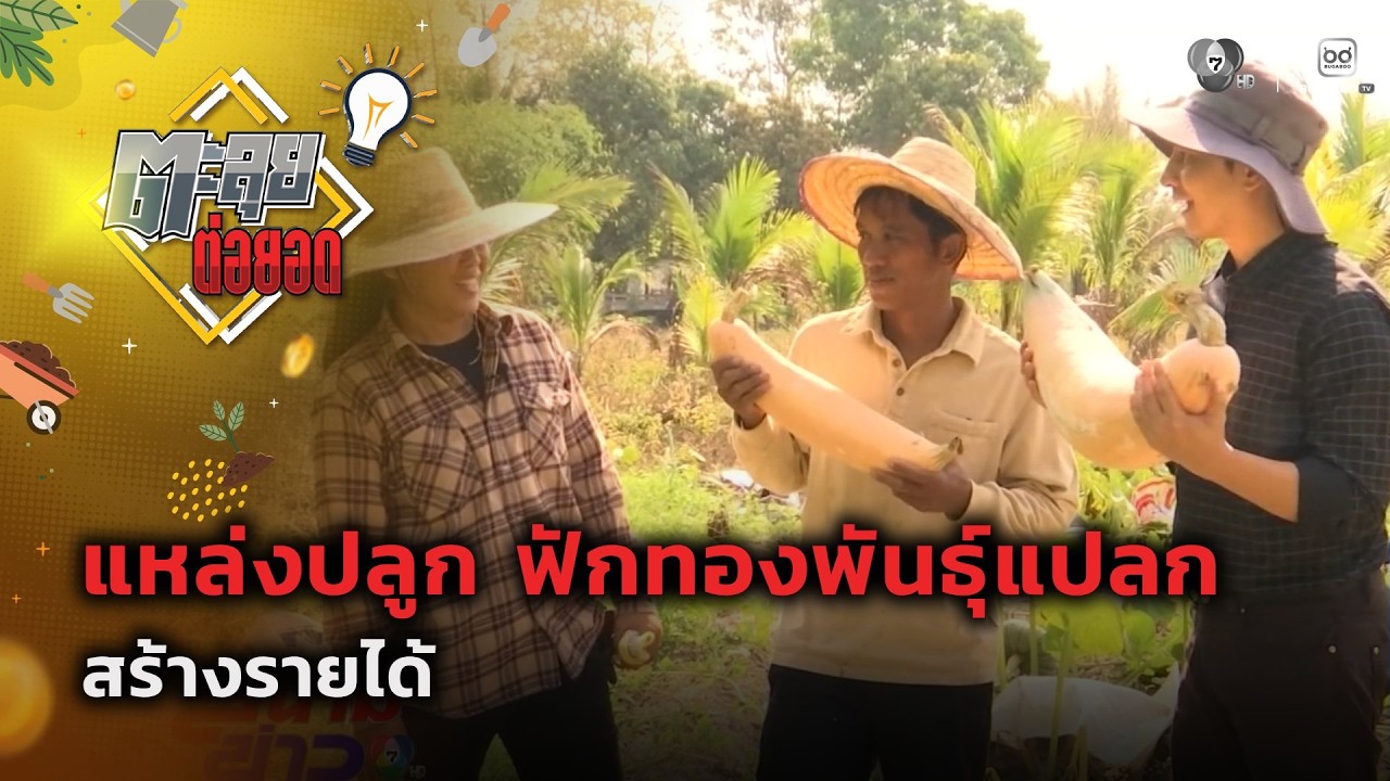 แหล่งปลูก 