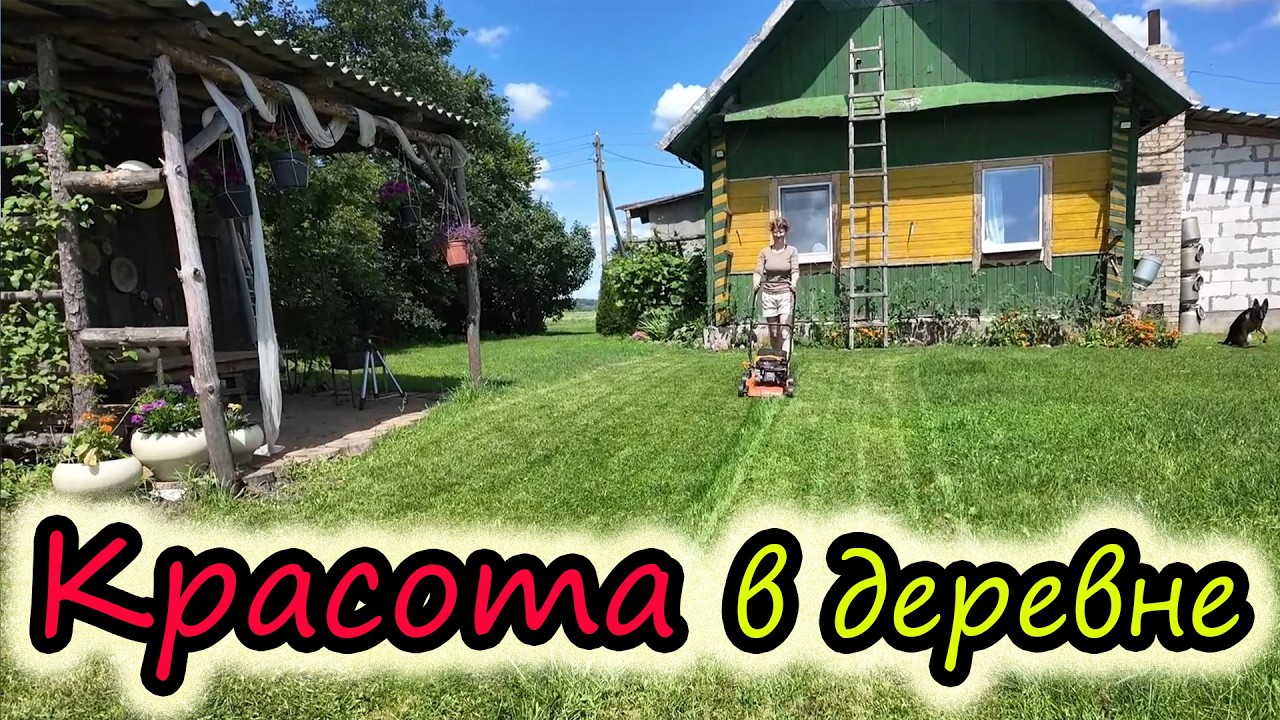 Деревенские будни // Витя увлекся работой // Новые покупки // Семья Лях