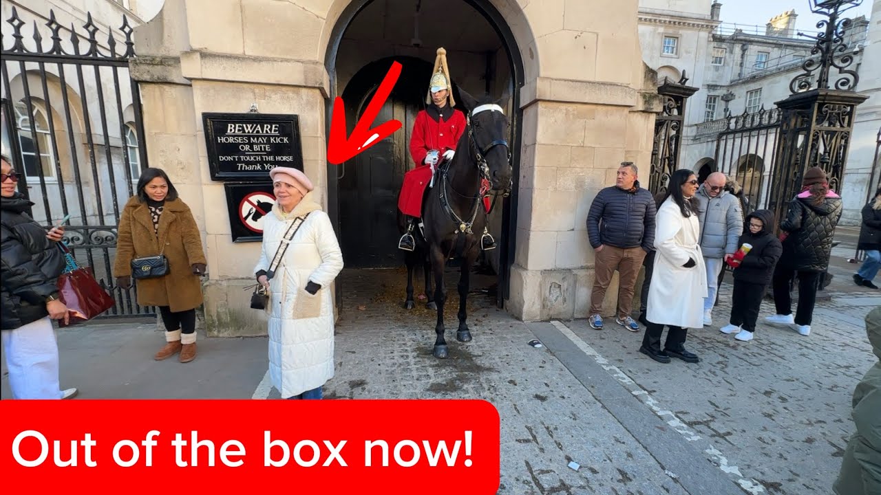 London Horse Guard Issues Strong Warning to Lady