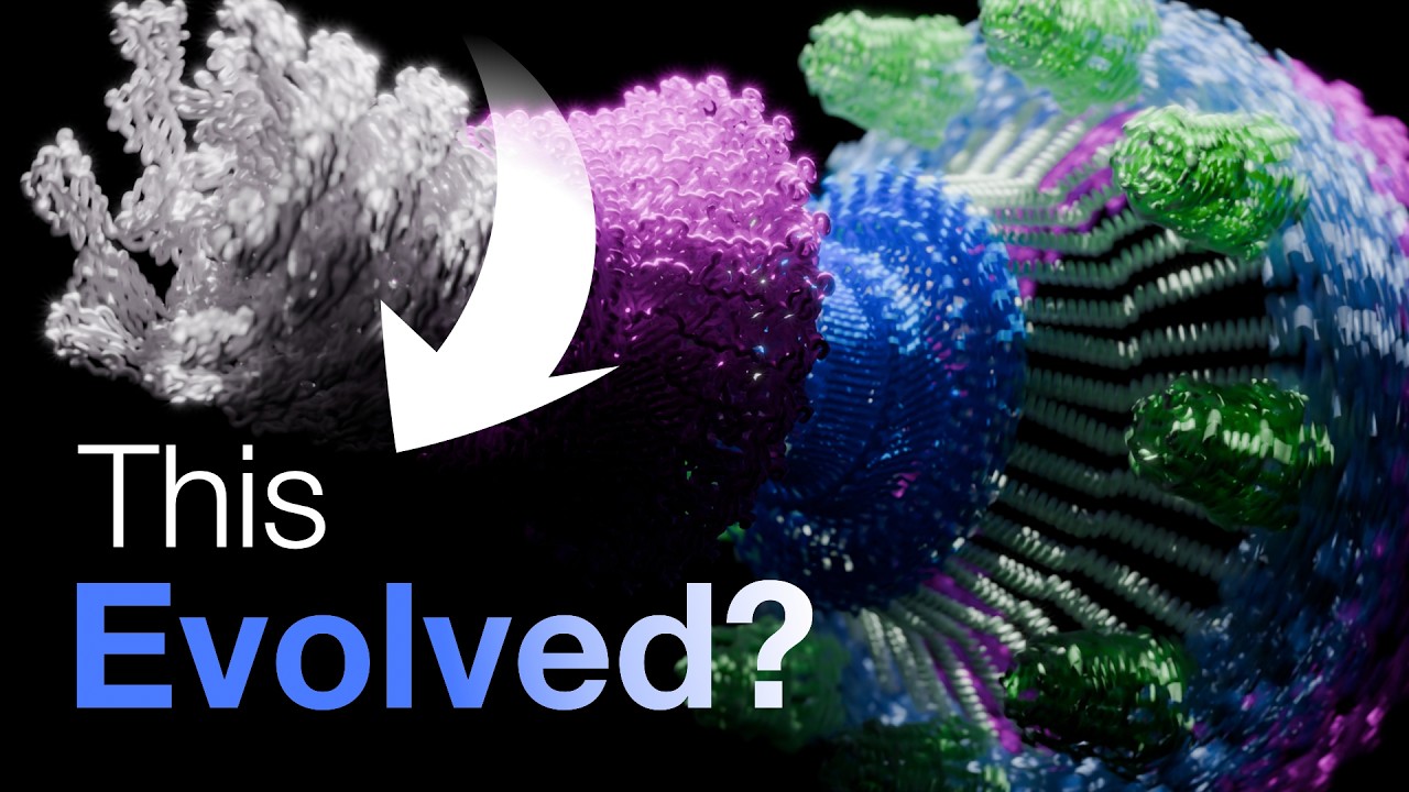 But how did something like this evolve?