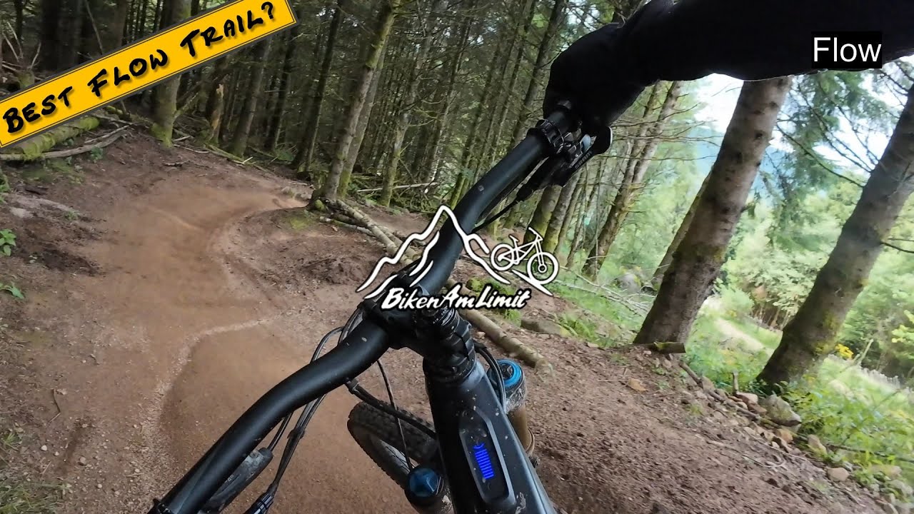 💥Ist das der beste Flow Trail?