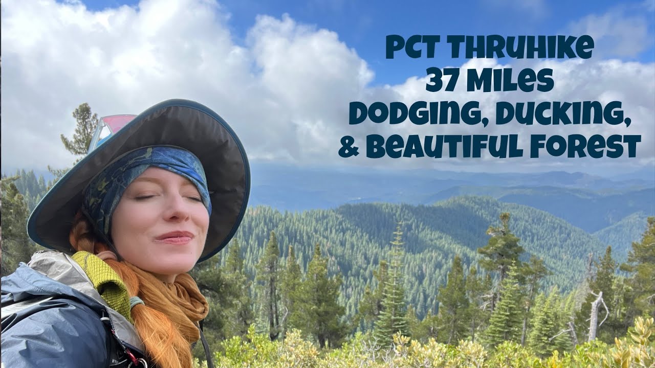 Pacific Crest Trail Thruhike Day 103- Dodging, Ducking, & Beautiful Forest
