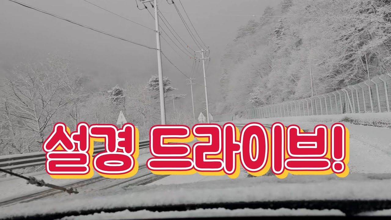 대관령 설경 드라이브! 렌즈에 이 풍경이 다 안담겨서 아쉽네요.