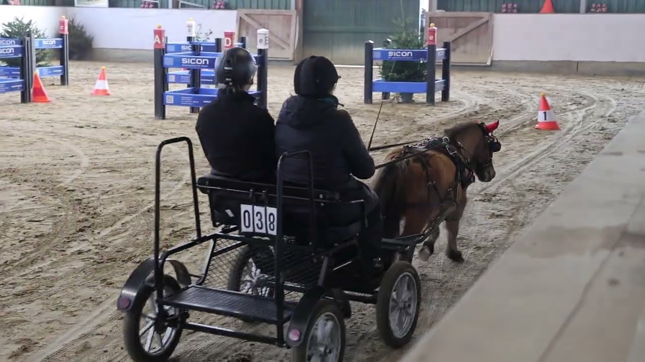 Fahrturnier Velen 8.2.2026 (Sicon Cup)