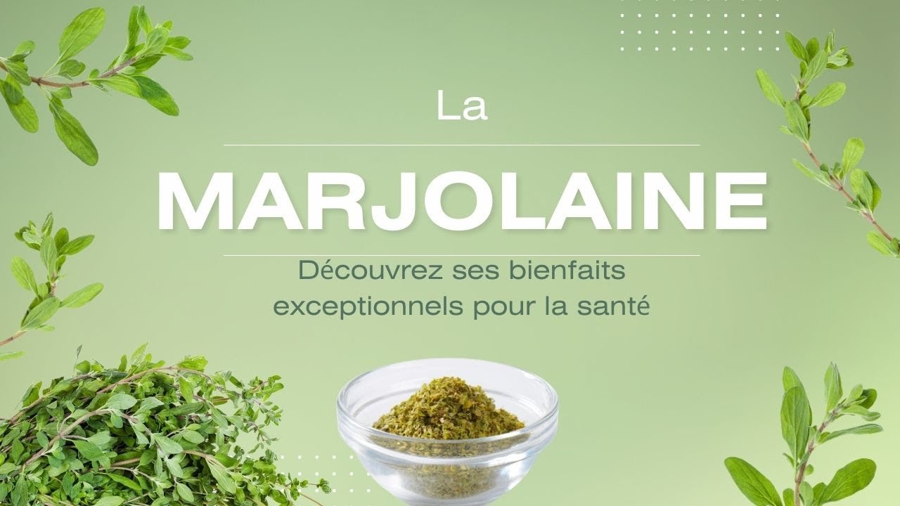 La marjolaine :13 vertus th&eacute;rapeutiques peu connues de cette herbe