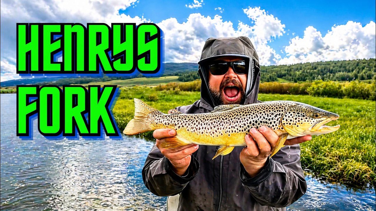 Dry Flies on the Henrys Fork