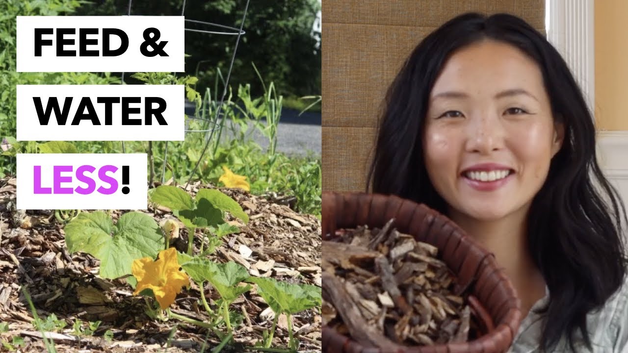 Making a Hugelkultur Garden Bed with Wood Chips