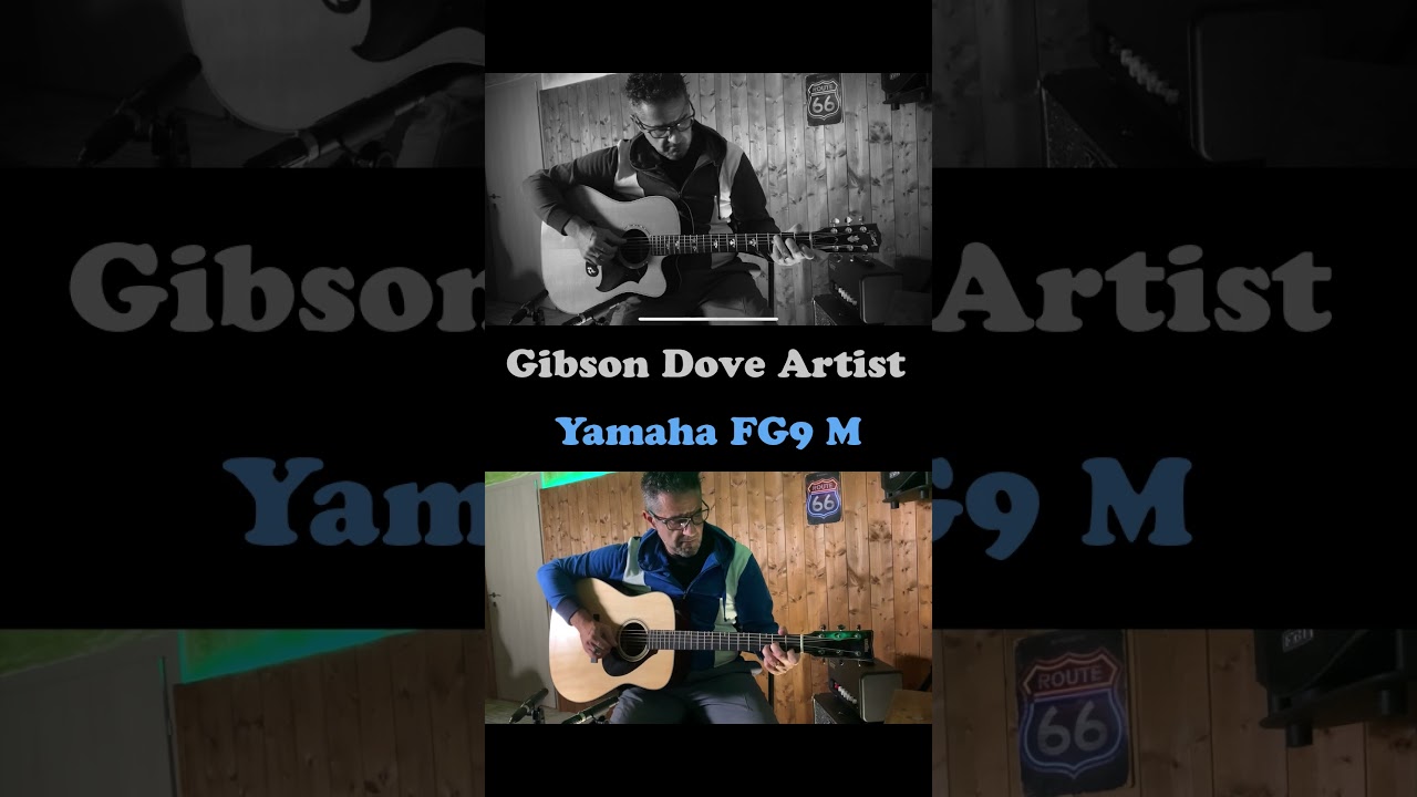 Gibson Dove Artist vs. Yamaha FG9 M  #chitarrediuncertolivello #guitar #acousticguitar #acoustic