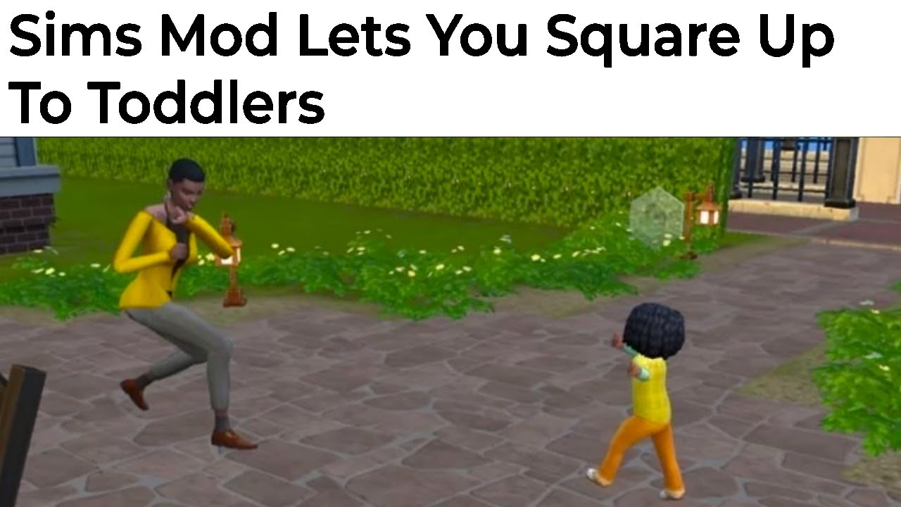 Chaotic Sims Memes