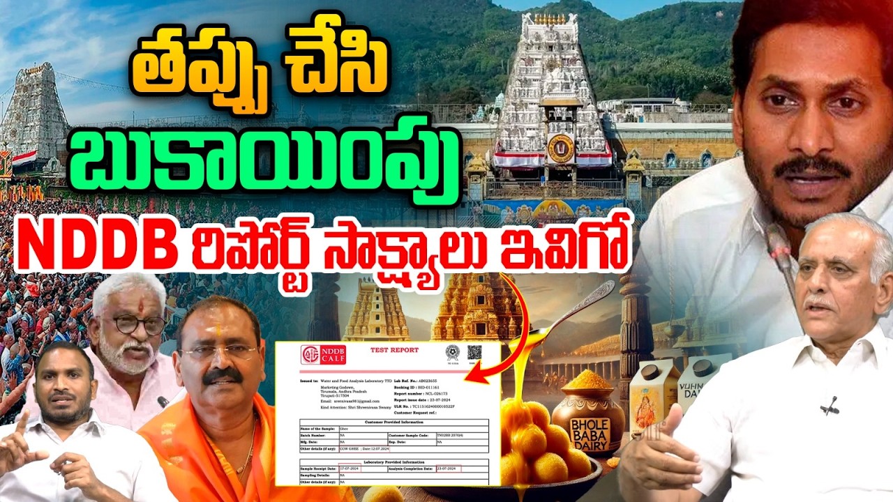 Titumala Laddu Case Report: తప్పు చేసి బుకాయింపు.. NDDB రిపోర్ట్ సాక్ష్యాలు ఇవిగో | YS Jagan | TTD