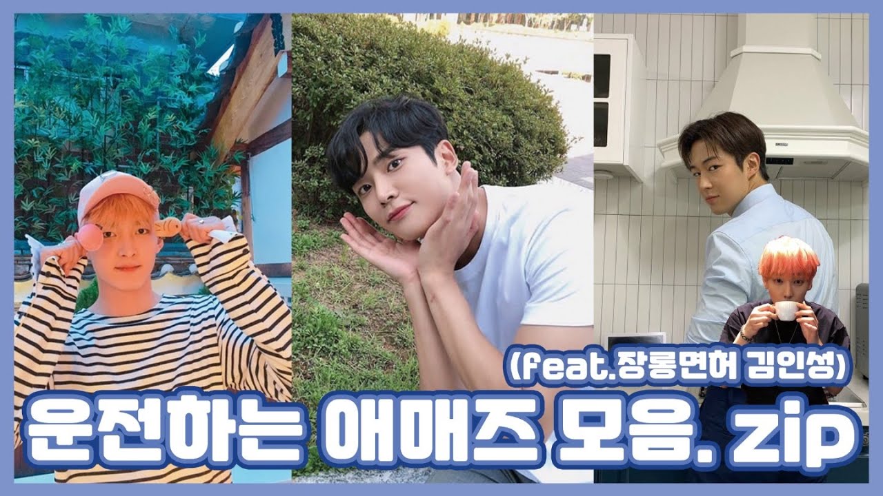 [SF9/다원/로운/주호] 운전하는 애매즈 모음🚗(feat.장롱면허 김인성..🌰)
