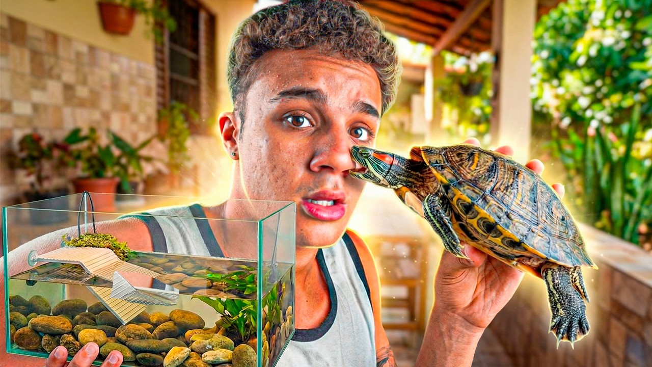 Você Já Teve Uma Tartaruga?