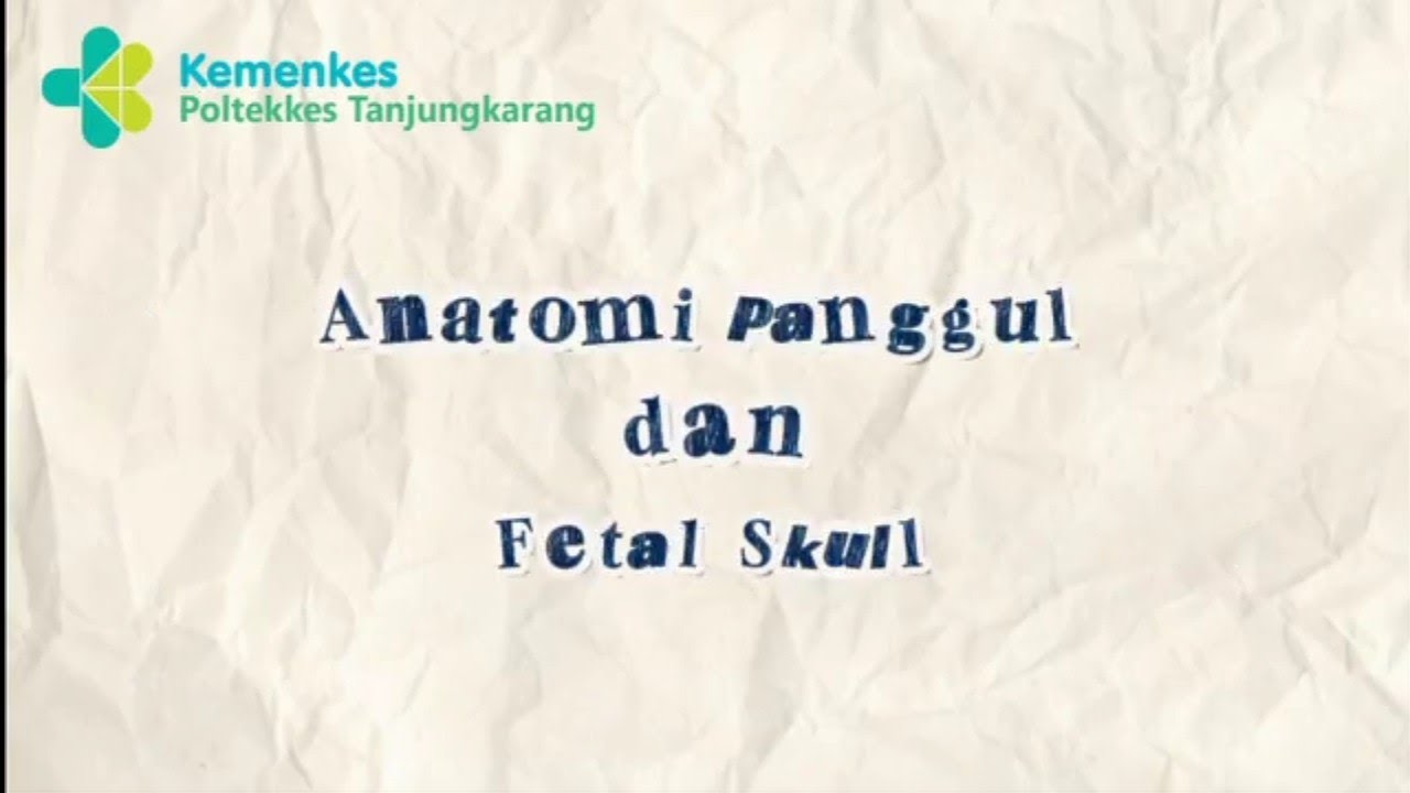 Anatomi Panggul dan Fetal Skull