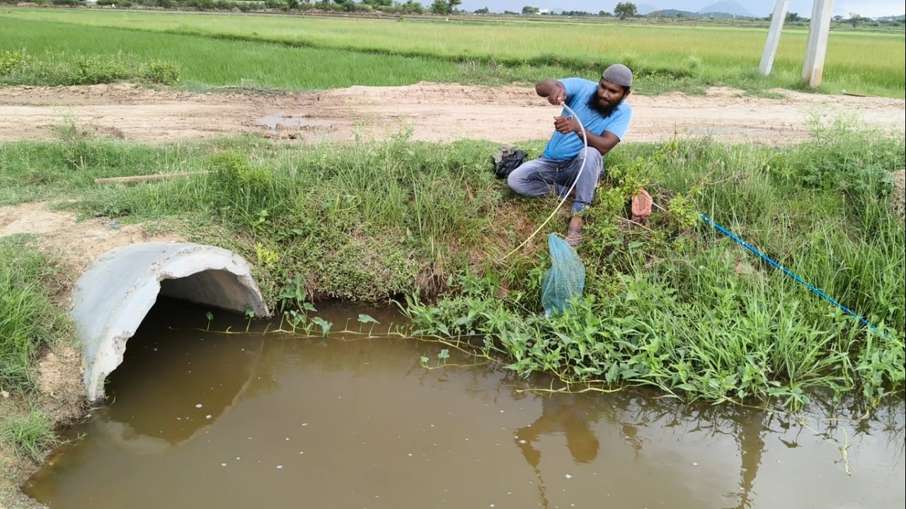 Discover the Heartwarming Tradition Village Boy Catches IG Tilapia in a Stunning Stream!