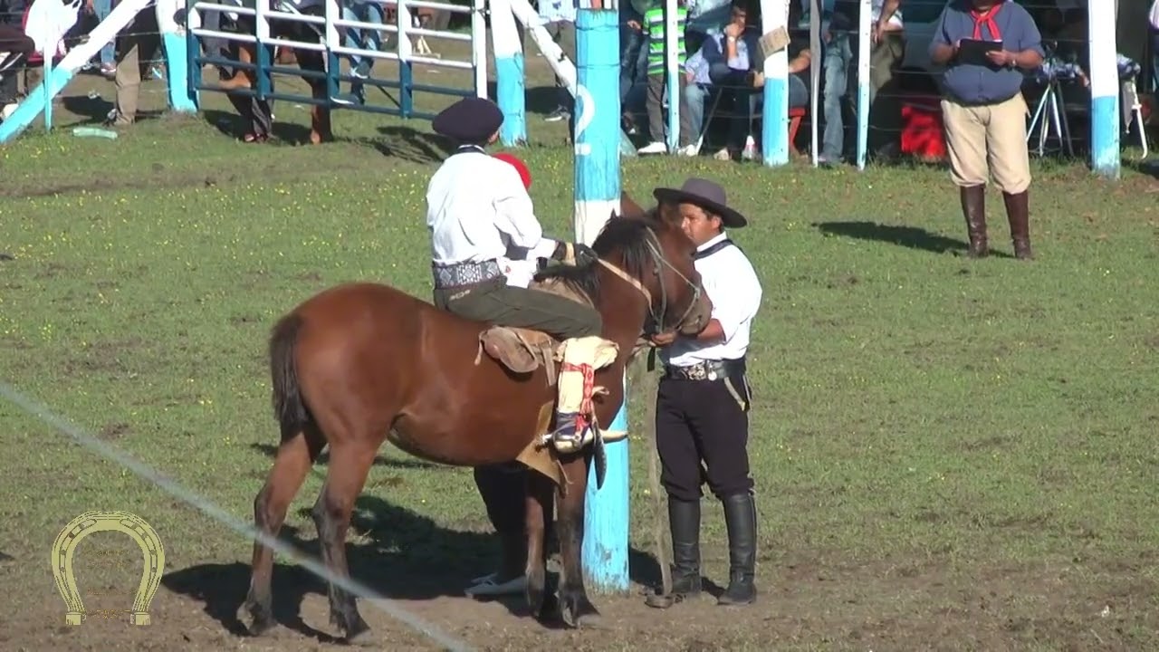 doma defendiendo lo nuestro 2025