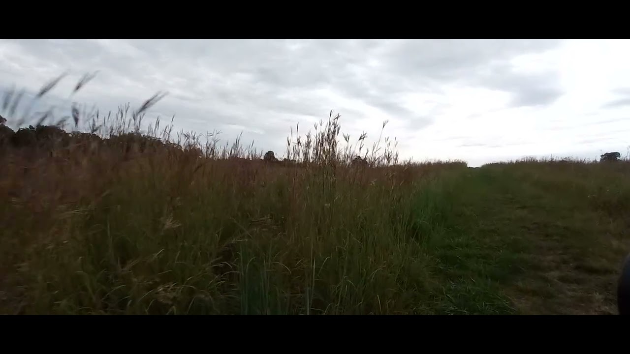 Gettysburgs battlefields listening for cannon fire