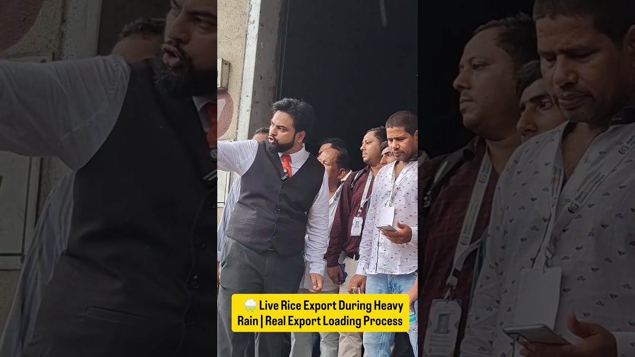 🌧️ Live Rice Export During Heavy Rain | Real Export Loading Process | Harsh Dhawan