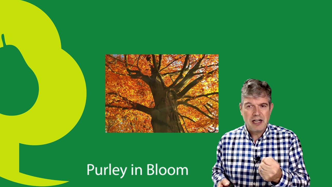Purley in Bloom