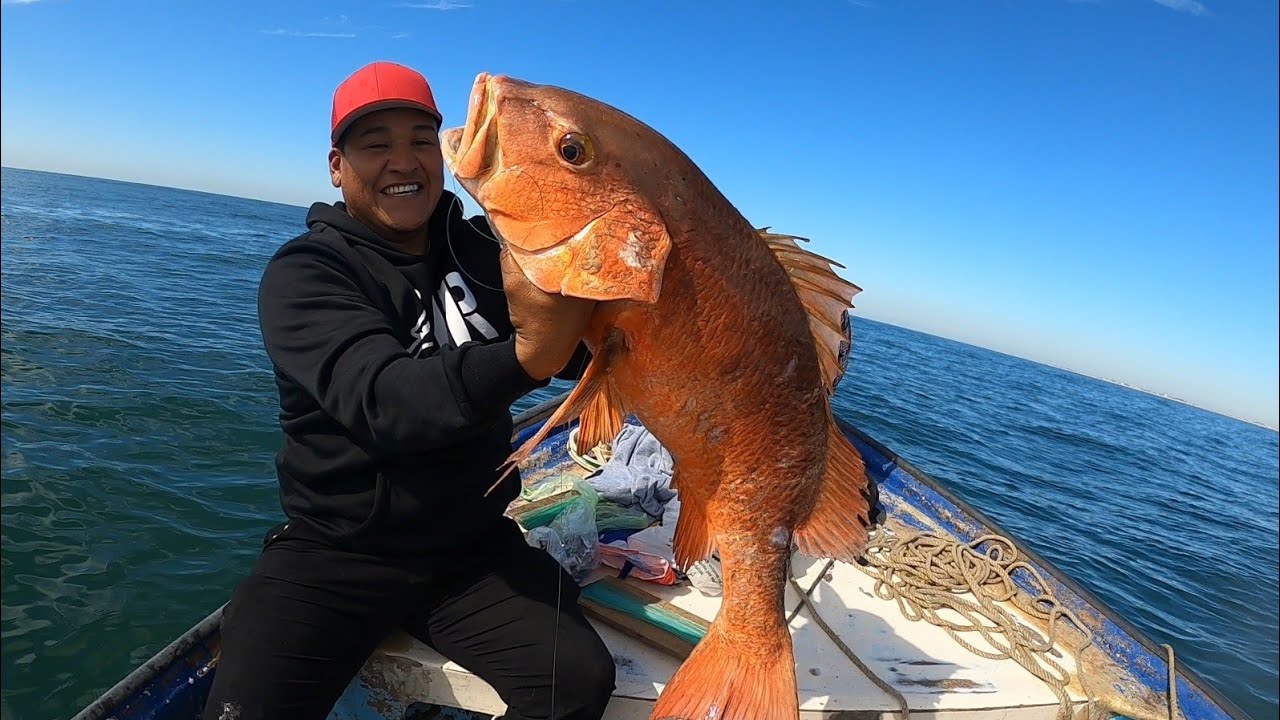 Exelentes Pargos en Barco Hundido