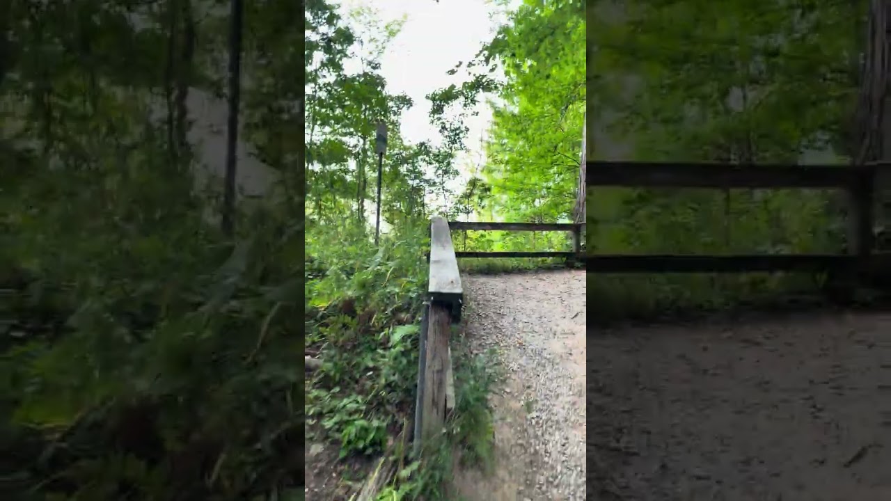 Sassafras Point Walk