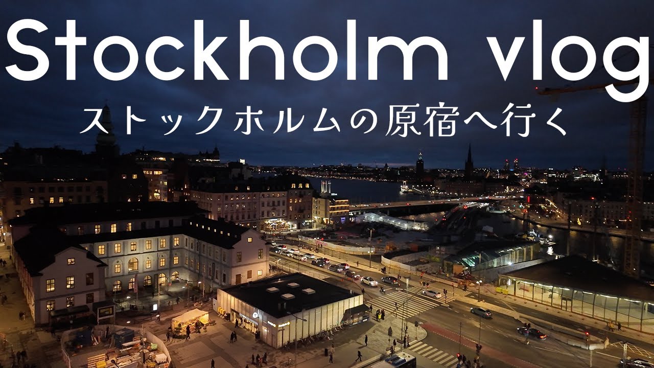 ストックホルムVlog🇸🇪1番イケてる街(たぶん)に行ってきた