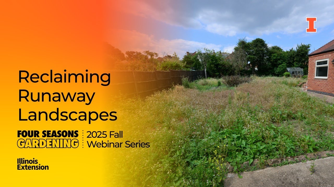 Reclaiming Your Runaway Landscape: Balancing Beauty, Habitat, and Enjoying Your Yard