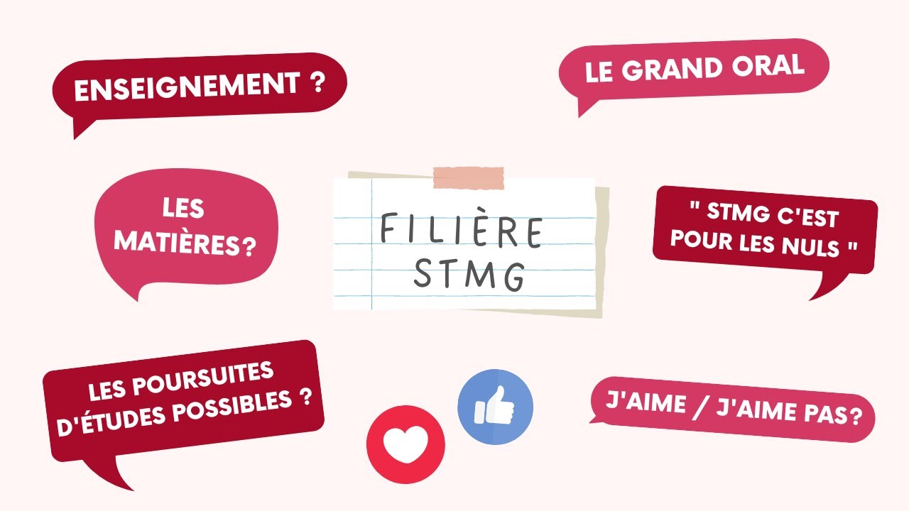 Tout savoir sur la filière STMG