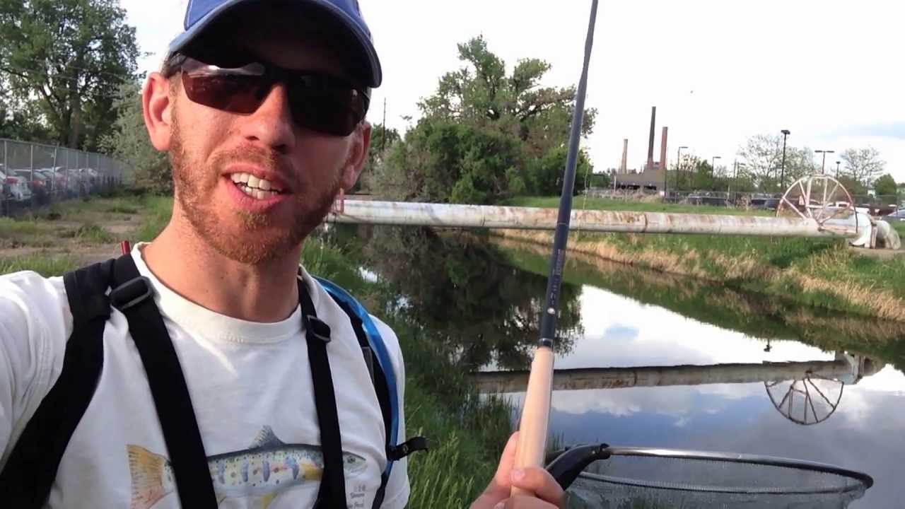 Tenkara Diaries, May 28th - Carp on tenkara