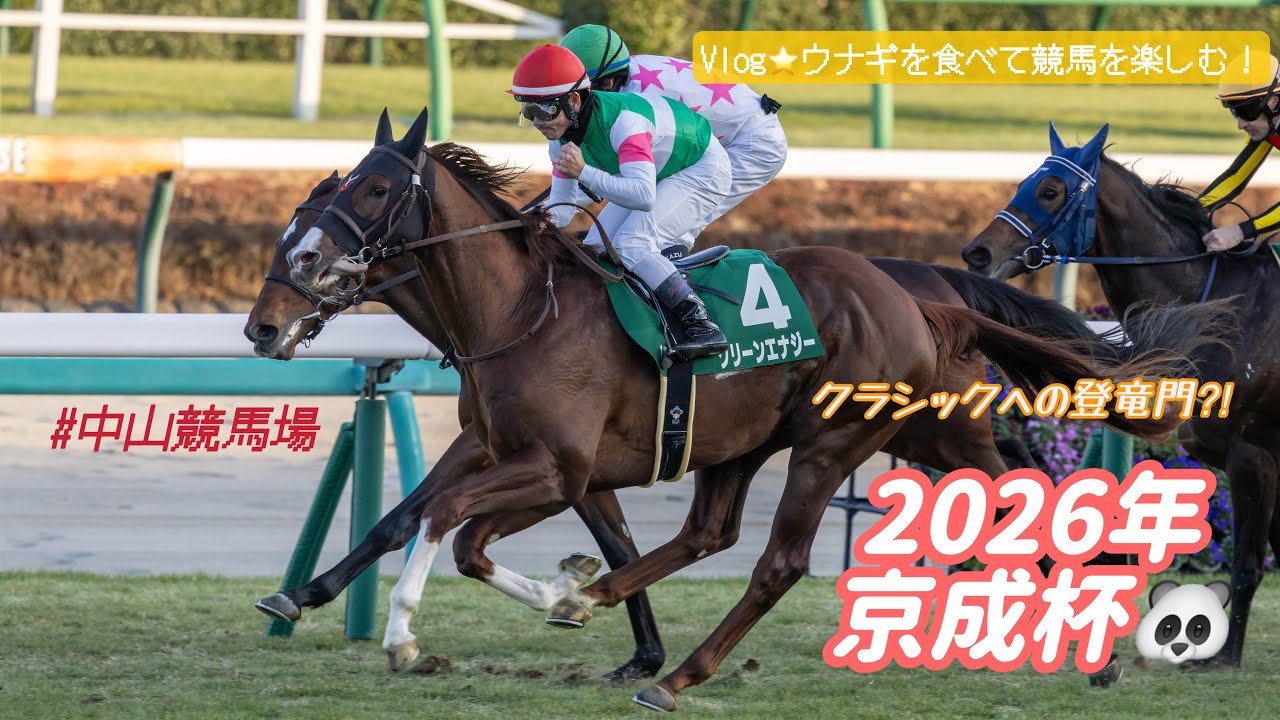 【2026年 京成杯🐼】〜現地Vlog🌸クラシックが楽しみになる3歳牡馬の戦い🐎