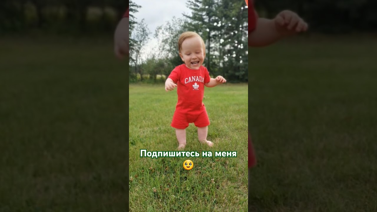 Синий трактор по полям в Канаде #babysam #детскиепесни #синийтрактор