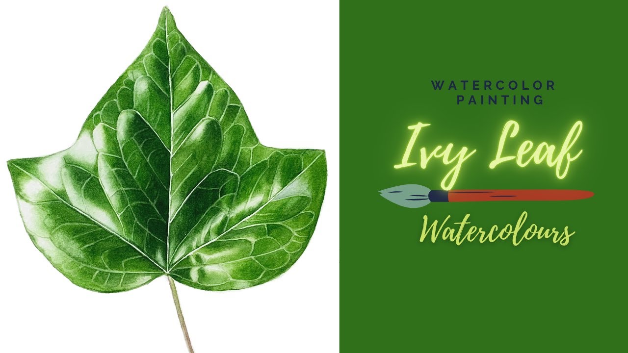 How to paint an Ivy Leaf with Watercolors//Realistic Leaf painting #watercolors #ivyleaf #painting