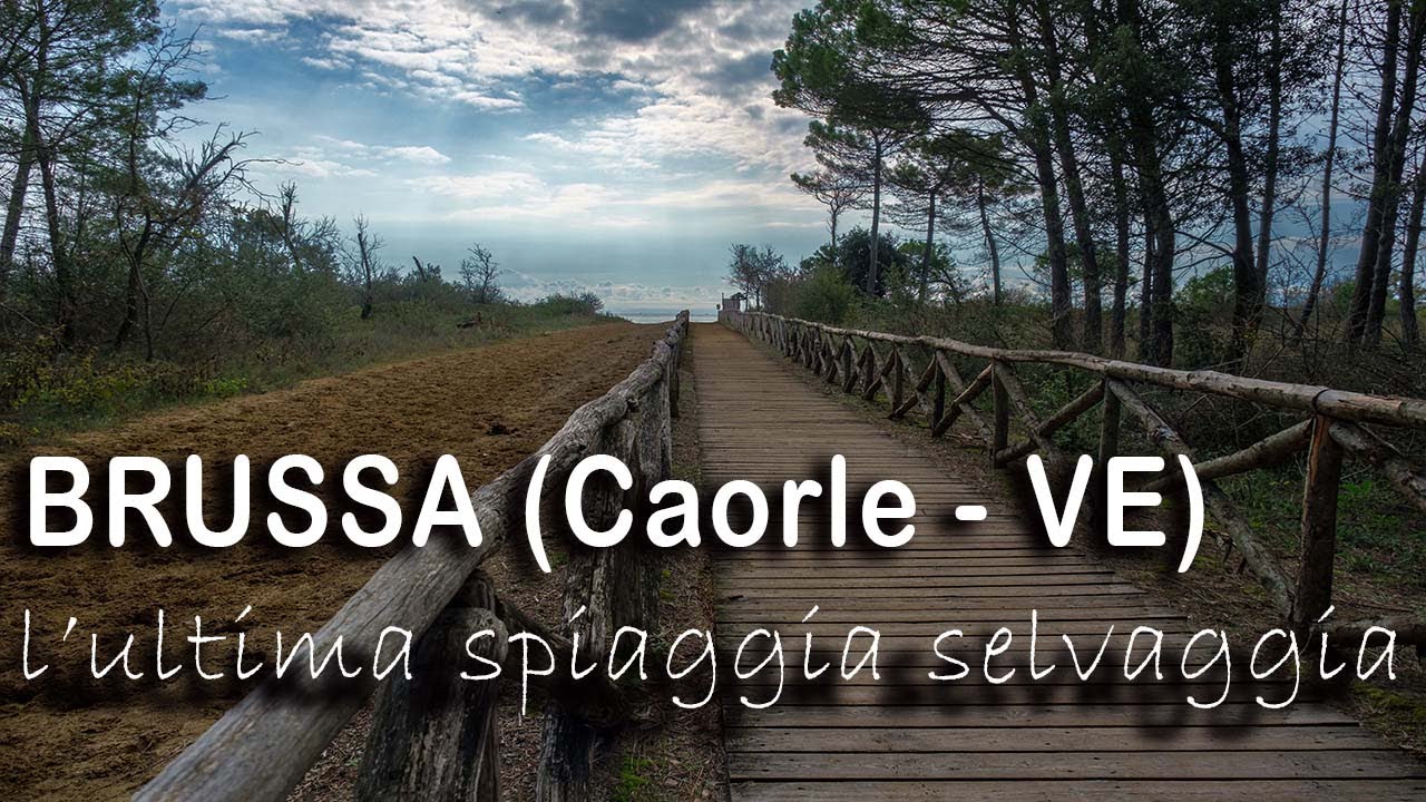 Brussa, l'ultima spiaggia selvaggia (Caorle -VE) 4k