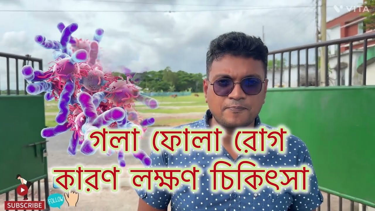 v15 গরুর গলা ফোলা রোগ 