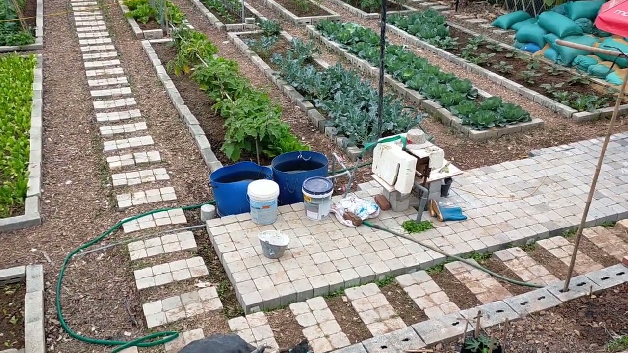 Tham khảo c&aacute;ch bố tr&iacute; vườn rau đẹp mắt v&agrave; quy củ
