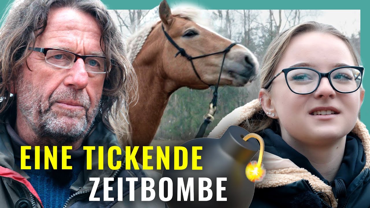 Kann man DIESEN HENGST überhaupt noch reiten?