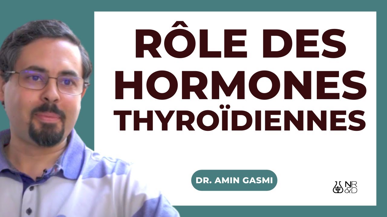 Fonctions physiologiques de la thyro&iuml;de, &agrave; quoi servent les hormones thyro&iuml;diennes?