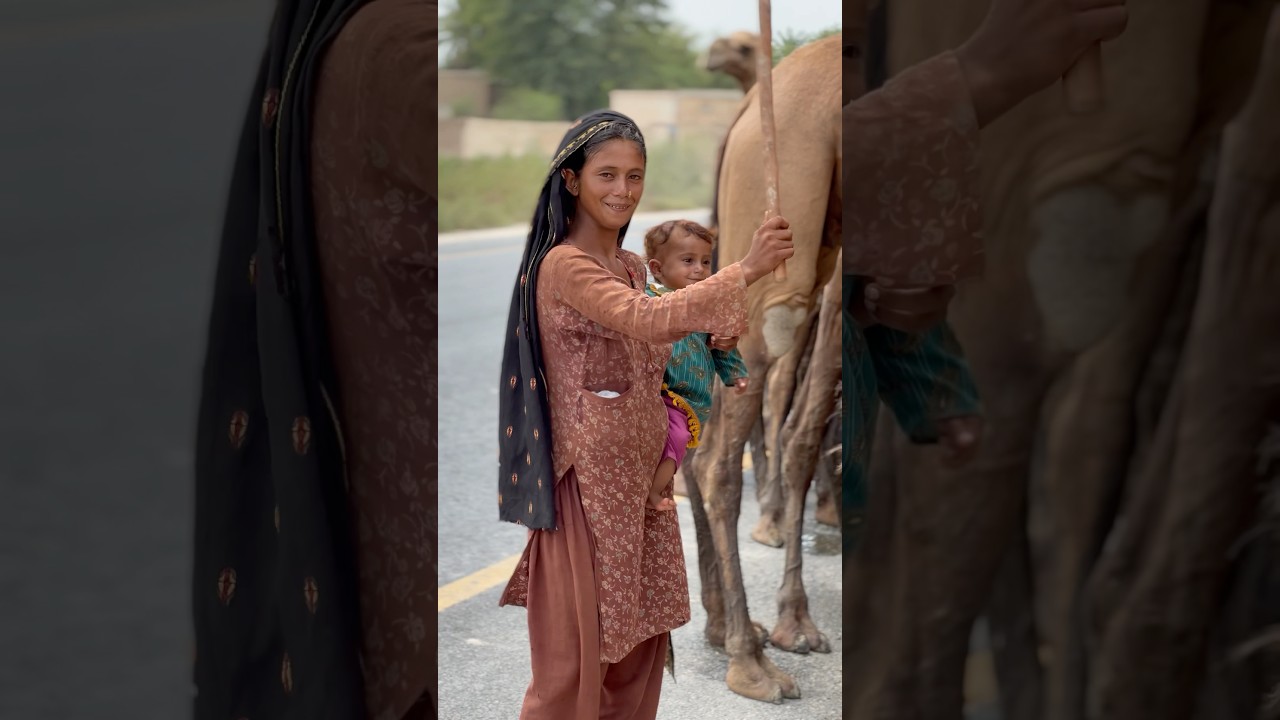 desert life #traditional #baby #camel #villagelife