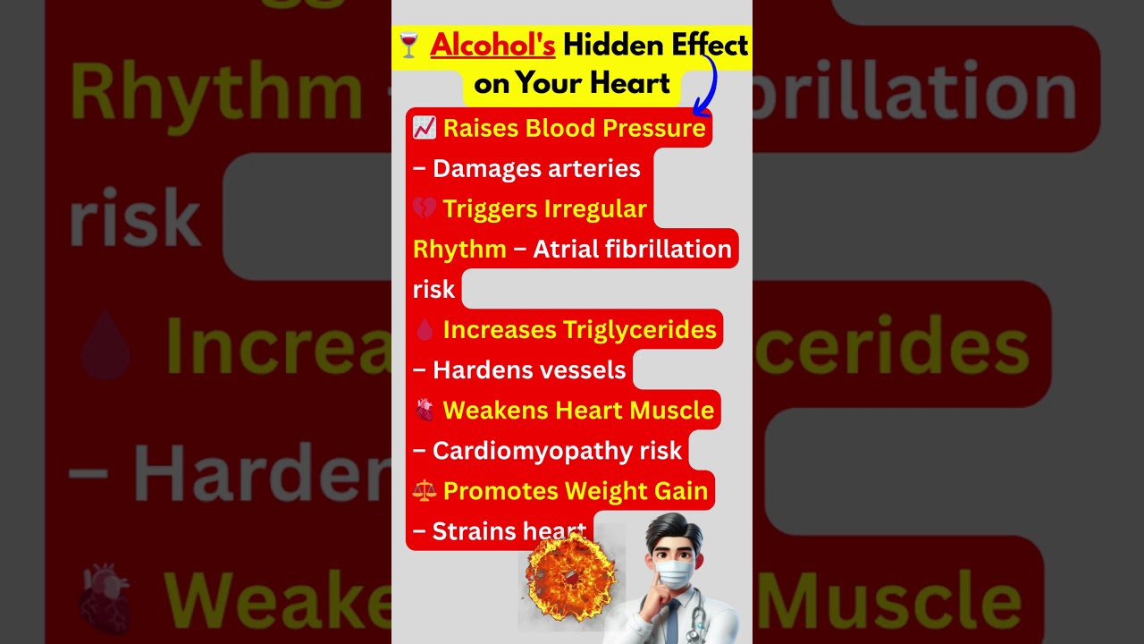 🍷 Alcohol Consumption and Heart Health | Medical Education