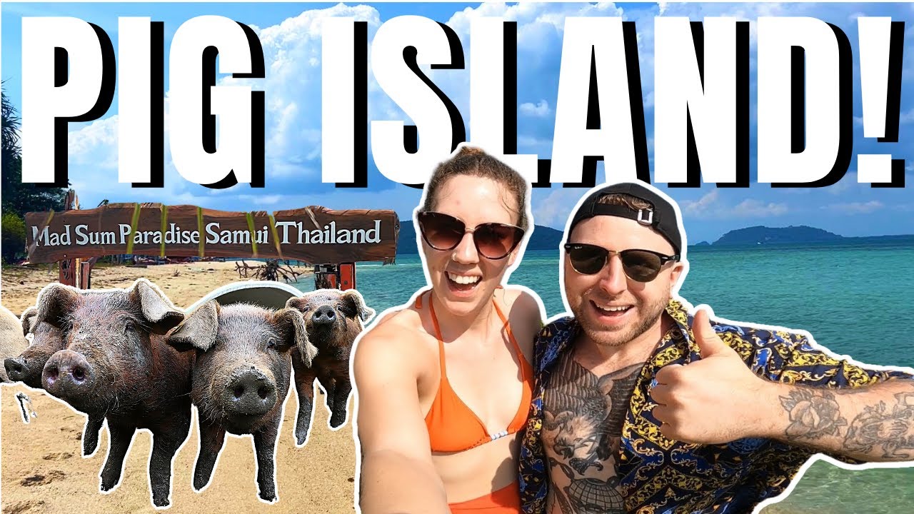 Is PIG ISLAND the BEST day trip from Koh Samui? 🐷 | Koh Madsum, Thailand