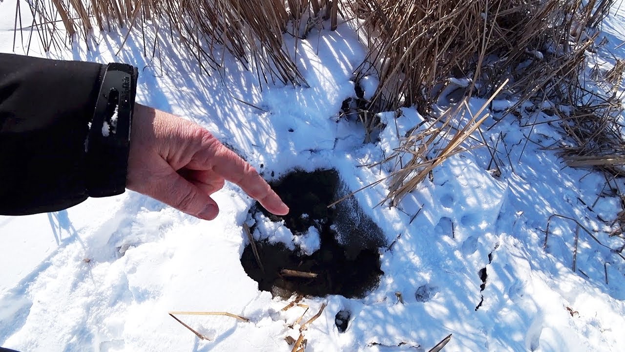 DON'T WALK ON THE THIN ICE!!! OOPS!