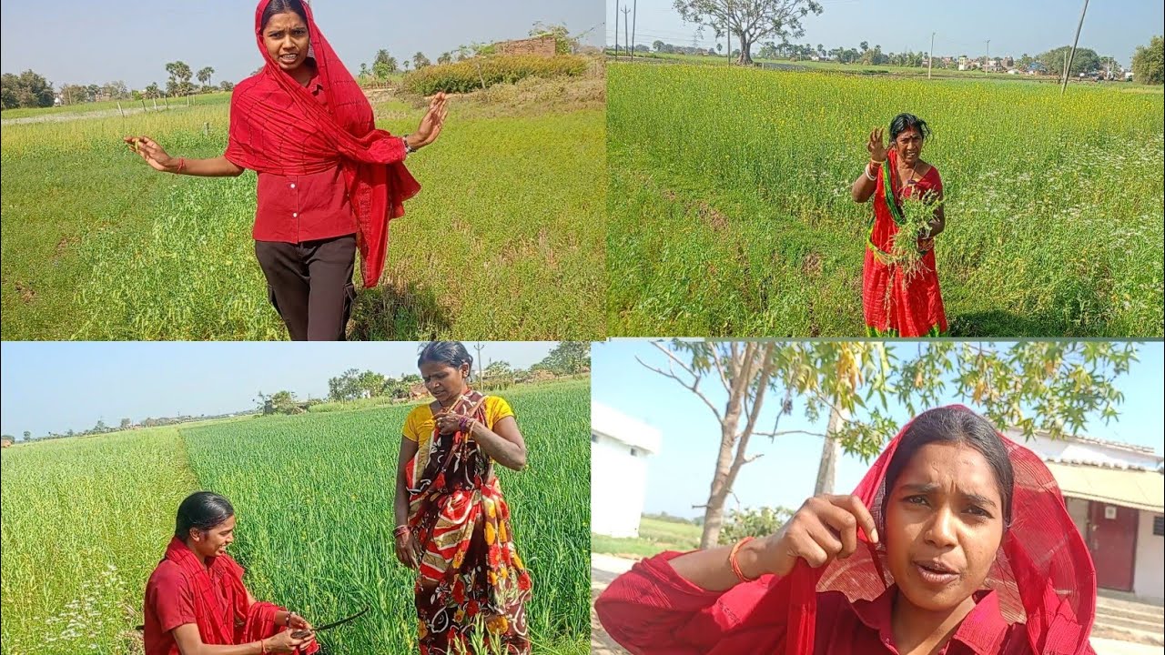 Nani Ghar me 1st day masti | village life | village vlog | girl vlog | #vlog #mastaniavnivlog 