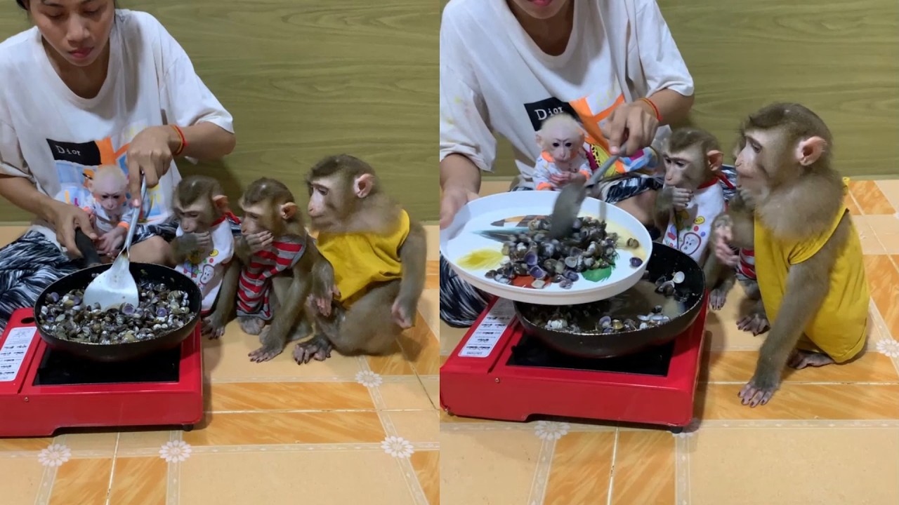 Seafood Feast! 🦪 Cooking a Fresh Clam Dinner for My 4 Hungry Monkeys