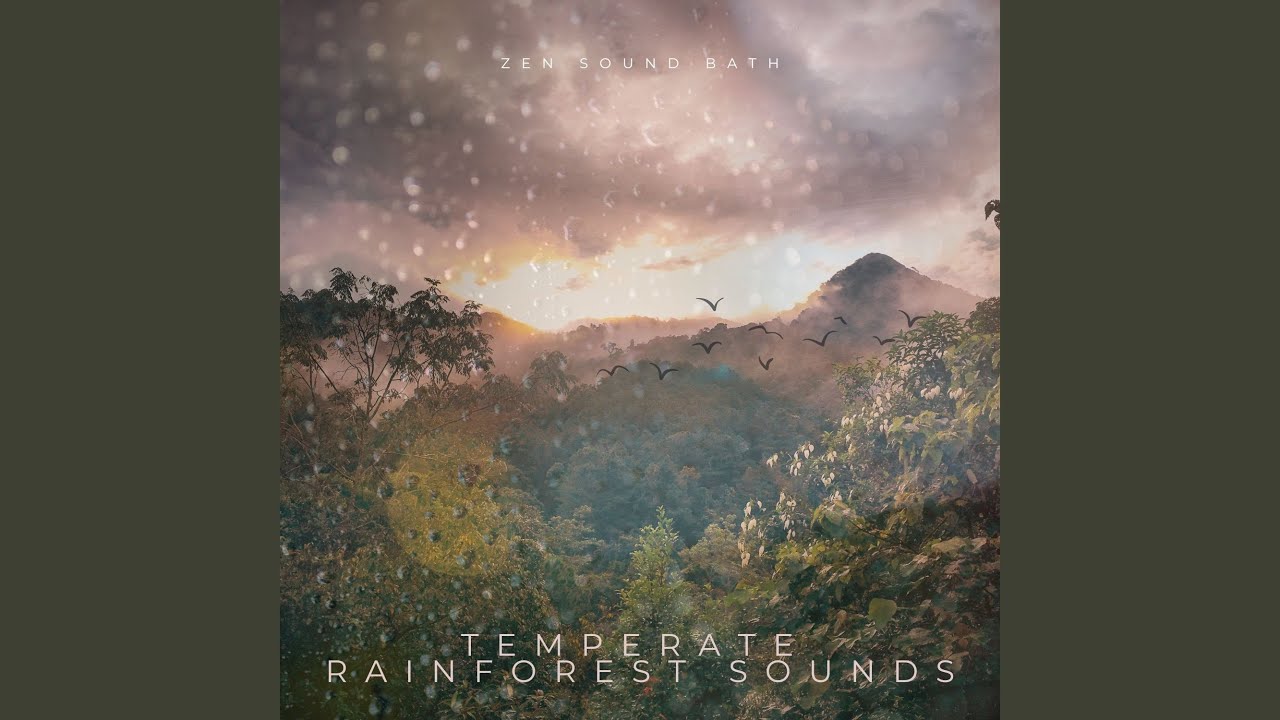 Temperate Rainforest Sounds