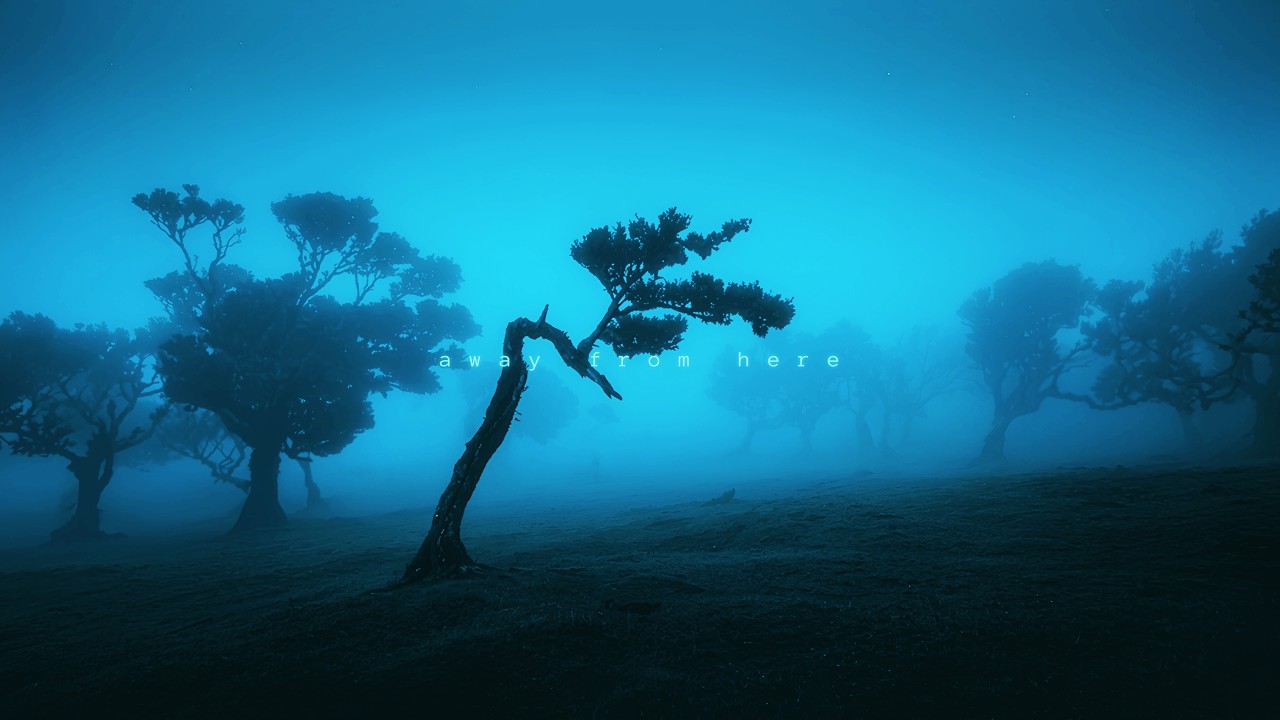 let this night hold you. . .