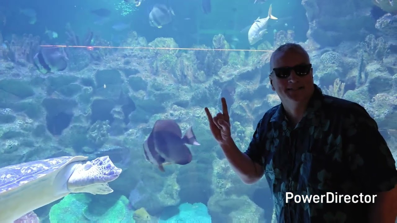 МАЛАЙЗИЯ - KL AQUARIA в Куала-Лумпуре